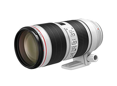 Canon EF70-200mm F2.8L IS III USM